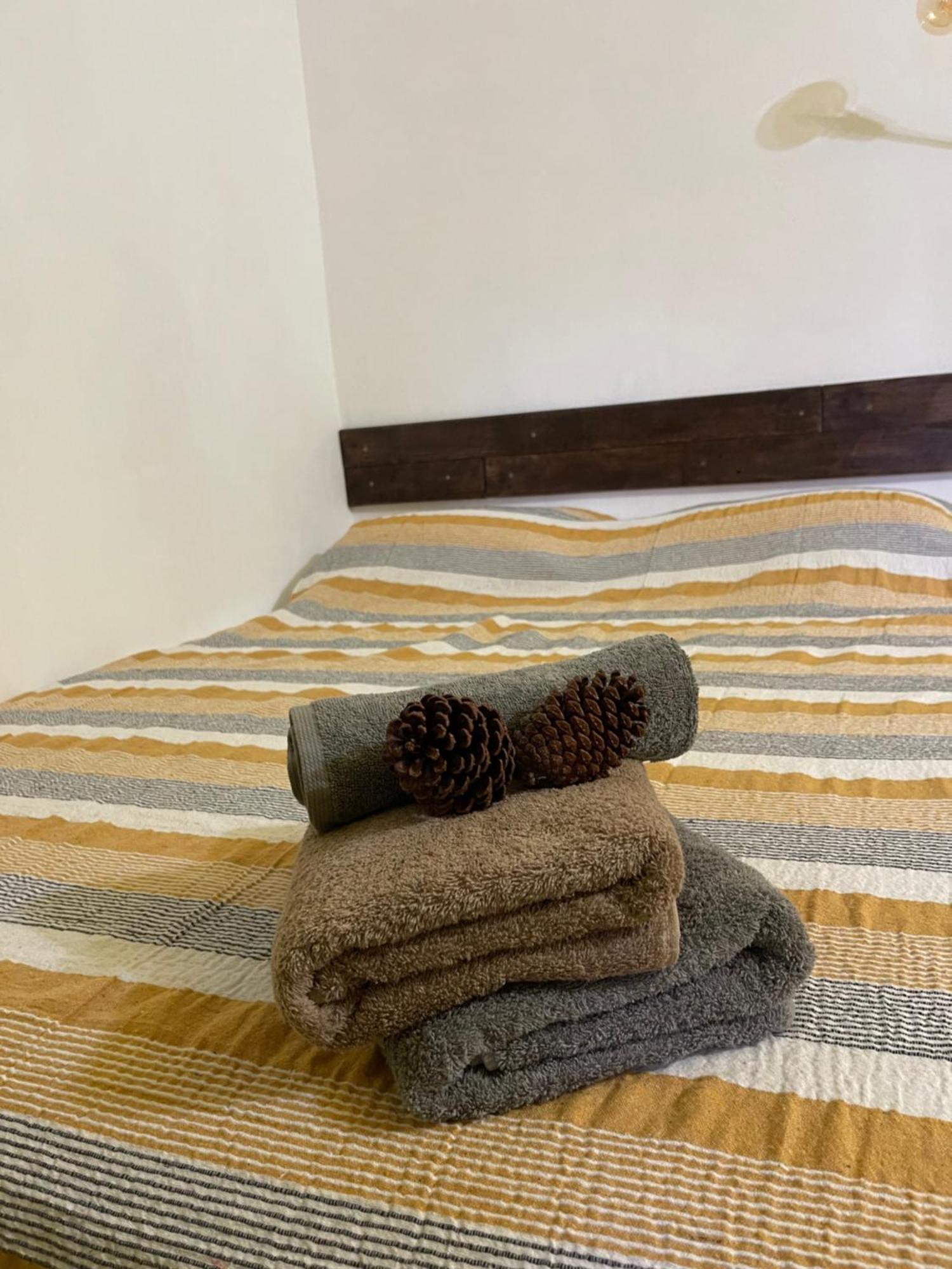 Kowlessur Residence Surinam Ngoại thất bức ảnh
